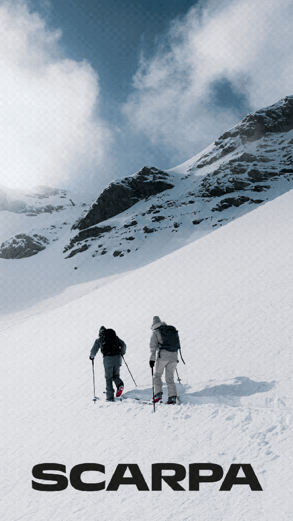 Banner_Frühjahr 2026